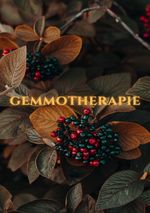 Gemmotherapie: Hilfe in der Naturheilkunde - BONUS Rezepte 2023 -: Die geheime Energie der Natur für ganzheitliche Gesundheit und Vitalität - SONDERAUSGABE Cover des Buches Gemmotherapie: Hilfe in der Naturheilkunde - BONUS Rezepte 2023 -: Die geheime Energie der Natur für ganzheitliche Gesundheit und Vitalität - SONDERAUSGABE (ISBN: 9783759804501)