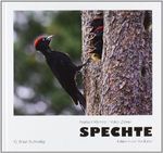 Spechte: Ein Leben in der Vertikalen Cover des Buches Spechte: Ein Leben in der Vertikalen (ISBN: 9783765085260)