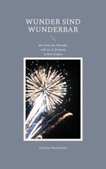 Wunder sind wunderbar Cover des Buches Wunder sind wunderbar (ISBN: 9783769309034)