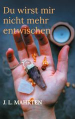 Du wirst mir nicht mehr entwischen Cover des Buches Du wirst mir nicht mehr entwischen (ISBN: 9783769356380)