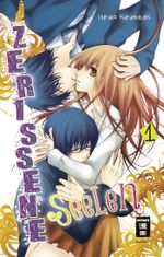 Zerrissene Seelen 01 Cover des Buches Zerrissene Seelen 01 (ISBN: 9783770481286)