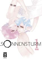 Sonnensturm 01 Cover des Buches Sonnensturm 01 (ISBN: 9783770481514)