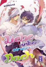 Liebe unter einem Dach Cover des Buches Liebe unter einem Dach (ISBN: 9783770486397)