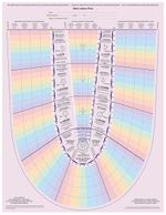 Lebensplan Cover des Buches Lebensplan (ISBN: 9783772527425)