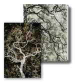 Santeri Tuori (Vorzugsausgabe) Cover des Buches Santeri Tuori (Vorzugsausgabe) (ISBN: 9783775748216)