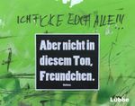 Aber nicht in diesem Ton, Freundchen! Cover des Buches Aber nicht in diesem Ton, Freundchen! (ISBN: 9783785726198)