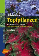 Topfpflanzen Cover des Buches Topfpflanzen (ISBN: 9783800146543)