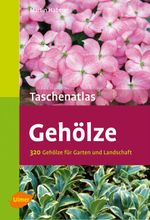 Gehölze Cover des Buches Gehölze (ISBN: 9783800190935)