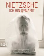 Nietzsche Cover des Buches Nietzsche (ISBN: 9783801205041)