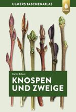 Knospen und Zweige Cover des Buches Knospen und Zweige (ISBN: 9783818608200)