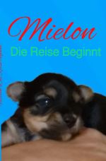 Mielon Cover des Buches Mielon (ISBN: 9783818723705)