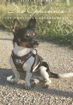 Das Geheimnis für hundliche Gelassenheit Cover des Buches Das Geheimnis für hundliche Gelassenheit (ISBN: 9783818726508)