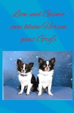 Leon und Gismo zwei kleine Herzen ganz Groß Cover des Buches Leon und Gismo zwei kleine Herzen ganz Groß (ISBN: 9783818729349)