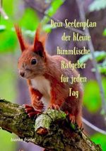 Dein Seelenplan - der kleine himmlische Ratgeber für jeden Tag Cover des Buches Dein Seelenplan - der kleine himmlische Ratgeber für jeden Tag (ISBN: 9783819022135)