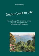 Detour back to Life Cover des Buches Detour back to Life (ISBN: 9783819228902)