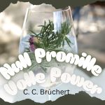 Null Promille - volle Power Cover des Buches Null Promille - volle Power (ISBN: 9783819782985)
