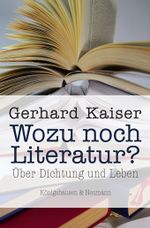 Wozu noch Literatur? Cover des Buches Wozu noch Literatur? (ISBN: 9783826029042)