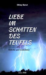 Liebe im Schatten des Teufels Cover des Buches Liebe im Schatten des Teufels (ISBN: 9783828037441)