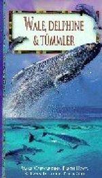 Wale, Delphine & Tümmler Cover des Buches Wale, Delphine & Tümmler (ISBN: 9783829056656)