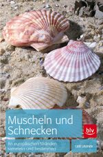 Muscheln und Schnecken Cover des Buches Muscheln und Schnecken (ISBN: 9783835409873)