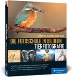 Die Fotoschule in Bildern. Tierfotografie Cover des Buches Die Fotoschule in Bildern. Tierfotografie (ISBN: 9783836242509)