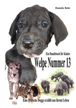 Welpe Nummer 13 Ein Hundekind erzählt aus seinem Leben Die Geschichte einer Deutschen Dogge Cover des Buches Welpe Nummer 13 Ein Hundekind erzählt aus seinem Leben Die Geschichte einer Deutschen Dogge (ISBN: 9783837013863)