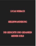 Seelenwanderung Cover des Buches Seelenwanderung (ISBN: 9783839172025)
