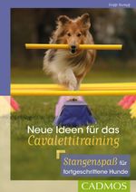 Neue Ideen für das Cavalettitraining Cover des Buches Neue Ideen für das Cavalettitraining (ISBN: 9783840420689)