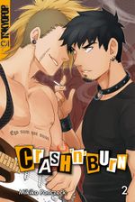 Crash 'n' Burn 02 Cover des Buches Crash 'n' Burn 02 (ISBN: 9783842005242)