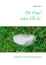 Die Engel stehen Dir bei Cover des Buches Die Engel stehen Dir bei (ISBN: 9783842332935)