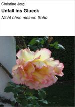 Unfall ins Glueck Cover des Buches Unfall ins Glueck (ISBN: 9783847609391)