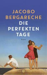 Die perfekten Tage Cover des Buches Die perfekten Tage (ISBN: 9783851795073)