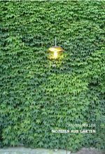 Notizen aus Gärten Cover des Buches Notizen aus Gärten (ISBN: 9783852564890)