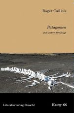 Patagonien und weitere Streifzüge Cover des Buches Patagonien und weitere Streifzüge (ISBN: 9783854209744)