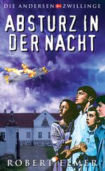Absturz in der Nacht Cover des Buches Absturz in der Nacht (ISBN: 9783861228981)