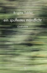 ein spülfestes mondlicht Cover des Buches ein spülfestes mondlicht (ISBN: 9783861426714)