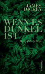 Wenn es dunkel ist Cover des Buches Wenn es dunkel ist (ISBN: 9783863372040)