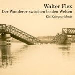 Der Wanderer zwischen beiden Welten Cover des Buches Der Wanderer zwischen beiden Welten (ISBN: 9783863520564)