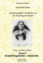 Emerenz Meier - Gesammelte Werke Cover des Buches Emerenz Meier - Gesammelte Werke (ISBN: 9783865122001)