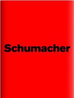 Michael Schumacher Cover des Buches Michael Schumacher (ISBN: 9783866154032)