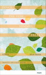 Dinge, die vom Himmel fallen Cover des Buches Dinge, die vom Himmel fallen (ISBN: 9783866482425)