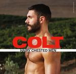 Hairy Chested Men Cover des Buches Hairy Chested Men (ISBN: 9783867877619)