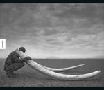 Quer durch wüstes Land Cover des Buches Quer durch wüstes Land (ISBN: 9783868736632)