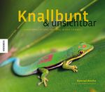 Knallbunt und unsichtbar Cover des Buches Knallbunt und unsichtbar (ISBN: 9783868739190)