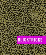 Blicktricks Cover des Buches Blicktricks (ISBN: 9783874396813)