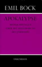 Apokalypse: Betrachtungen über die Offenbarung des Johannes Cover des Buches Apokalypse: Betrachtungen über die Offenbarung des Johannes (ISBN: 9783878383628)