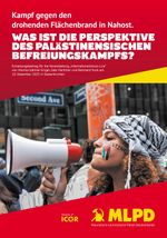 Was ist die Perspektive des palästinensischen Befreiungskampfs? Cover des Buches Was ist die Perspektive des palästinensischen Befreiungskampfs? (ISBN: 9783880216860)