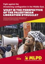 What is the perspective of the palestinian liberation struggle? Cover des Buches What is the perspective of the palestinian liberation struggle? (ISBN: 9783880216921)