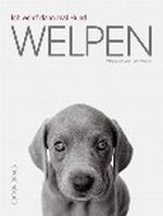 Ich werd' dann mal Hund Cover des Buches Ich werd' dann mal Hund (ISBN: 9783894662769)
