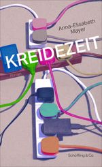 Kreidezeit Cover des Buches Kreidezeit (ISBN: 9783895611384)